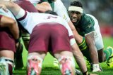 Kolisi bemoans ‘stop-start’ performance