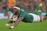 Massive Siya blow for Boks