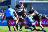 Galloping Cavaliers overtake Bulls in Wellington