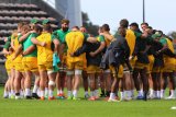Watch: Rassie thanks ‘flippen yster’ Bok supporters