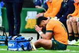 Wallabies count heavy cost of brutal Bok battles