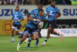 Bergh: Griquas have key to unlock Lions
