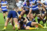 Rito: Stormers to keep Ospreys guessing