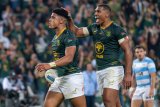 Rassie: Sacha did incredible things