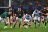 Los Pumas lose star pivot for Bok rematch