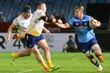 Junior Boks duo thriving under Ackers