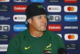 Coach Daan Human pushing Boks to new reality