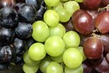 South Africa’s table grape and raisin industry set for bumper harvest