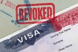 ‘Trailer trash’ post costs South African national his US visa amid Trump crackdown