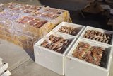 R1 million worth of lobster confiscated in Eastern Cape patrol