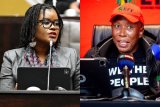 Malema’s three-point comeback plan for fired higher education minister