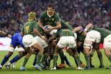 Springboks to stick to their guns against unpredictable Barbarians
