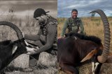 American ex-NFL star slammed for killing antelope in South Africa [pictures]