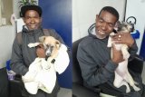 WATCH: Pensioner walks an hour to SPCA to save injured pup