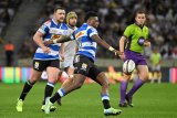 Stormers ready to counter Scarlets, says Laker