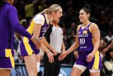Another sex toy thrown on to court during women's basketball game