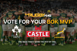 Pick your MVP: Boks vs Ireland