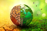 World’s biggest climate fund ramps up investment plans