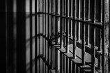 Minister wants foreign offenders to serve time in countries of origin