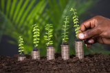 Senegal plans local 2025 sukuk, eyes international sukuk in 2026