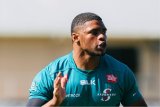 Stormers boosted with return of Warrick Gelant