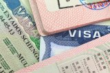 More visa officials to clear SA-Ireland applications backlog