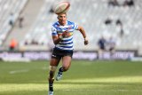 WP pack Currie Cup squad with EIGHT Junior Springbok champions