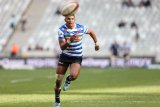 Currie Cup news | WP add Junior Springbok flair to side to face Cheetahs