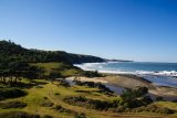 Shell’s Wild Coast seismic blasting case goes to Constitutional Court