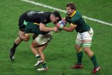 Springboks v All Blacks: New-look bomb squad to face NZ?