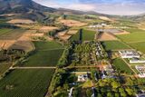 South African Winelands: A journey for the soul