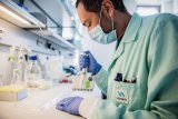 UK's MHRA suspends Valneva's chikungunya vaccine for elderly