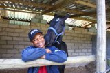 Fascination with horses leads to perfect career path