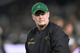 Erasmus, Kriel left frustrated after defeat against the All Blacks in Eden Park