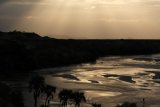 Ancient proteins found in fossils up to 24-million years old
