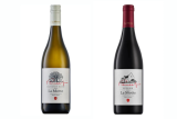 A VINE TIME | Pierneef Collection wines art in the glass