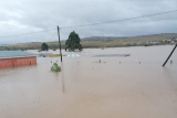 Flooding in parts of Mthatha, houses and cars submerged, flights cancelled