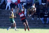 Elephants primed for Border derby dogfight — Coetzee