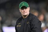 ‘We will not underestimate Argentina,’ says coach Erasmus as Boks brace for Puma power