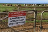 Latest foot-and-mouth outbreak adds to food inflation