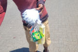 Had Halephirimi ban been earlier my child's life would have been spared – Naledi parent