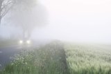 News24 | Friday’s weather: Morning fog with cold to cool conditions for most of SA