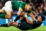 Springboks v All Blacks | Every KEY stat you should know