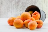 Apricot season: Where to pick apricots in the Western Cape