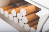 AgriSA and community leaders warn of economic fallout from tobacco legislation