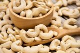 Ivory Coast cashew output could hit record 1.5-million tons: regulator