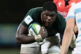 Lions and Sharks in tug-of-war over Junior Springbok star Batho Hlekani