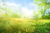 Gauteng welcomes warmer spring weather