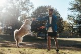 Best seven dog parks you should visit in South Africa