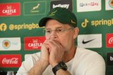 Boks take aim at New Zealand's fortress